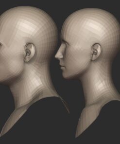 Male and Female 3d head blender