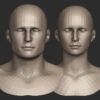 base head meshes for blender