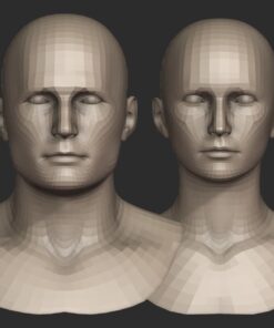 base head meshes for blender