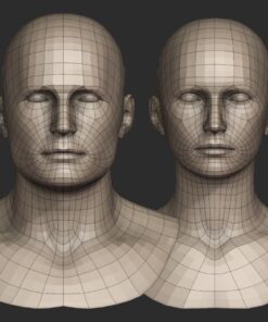 base head meshes for blender 3d model