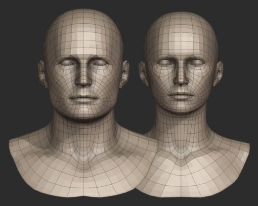 base head meshes for blender 3d model