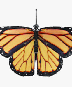 Butterfly Low-Poly 3D Model