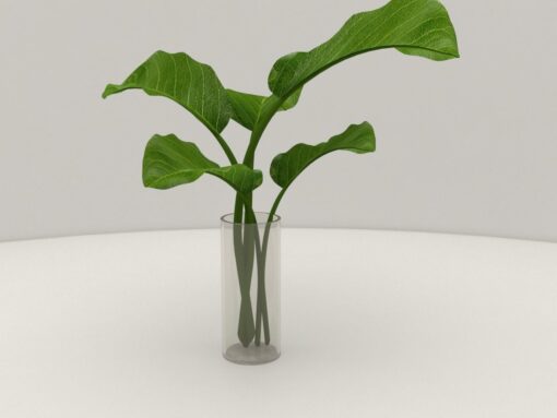 Plant in Glass Vase 3D Model Download