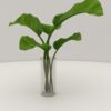 Plant in Glass Vase Free 3D Model