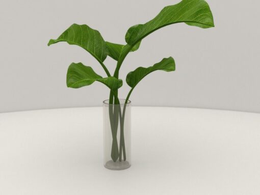 Plant in Glass Vase Free 3D Model