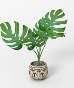 monstera potted home flower 3d model max obj fbx blender