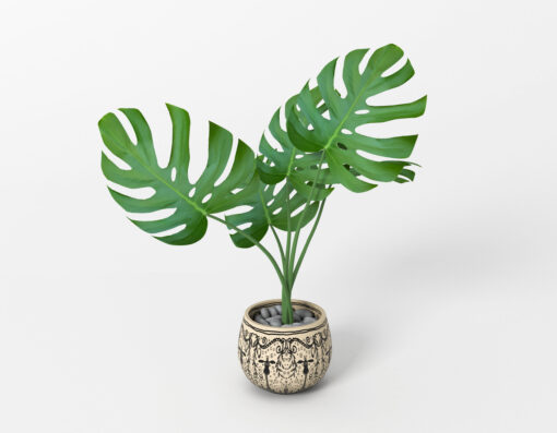 monstera potted home flower 3d model max obj fbx blender