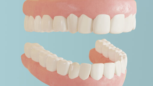 3D Teeth Model Blender Download