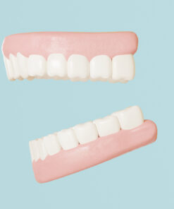 3D Teeth Model FBX