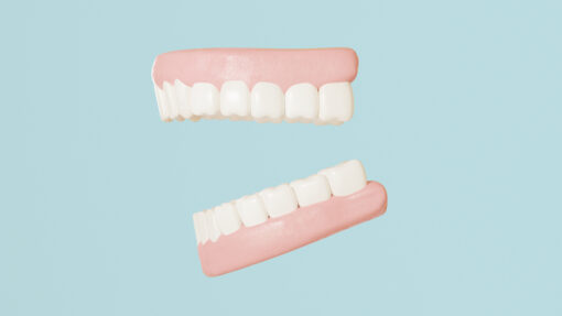 3D Teeth Model FBX