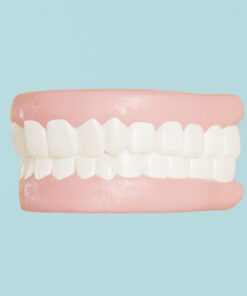 3D Teeth Model Free Download