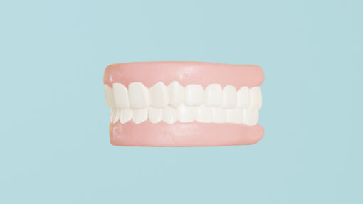 3D Teeth Model Free Download