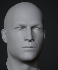 head 3D model