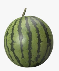 3D Watermelon Blender Free Download