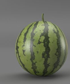3D Watermelon FBX