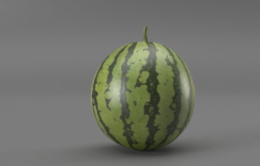 3D Watermelon FBX