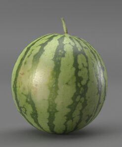 3D Watermelon Free Download