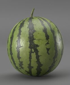 3D Watermelon STL