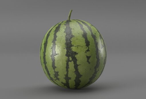 3D Watermelon STL