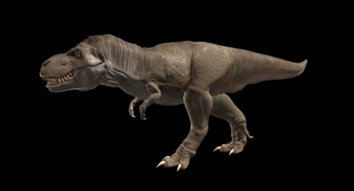 Dinosaur rex Blender Free Download