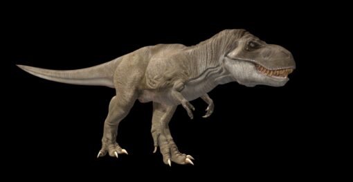 Dinosaur rex FBX Free Download