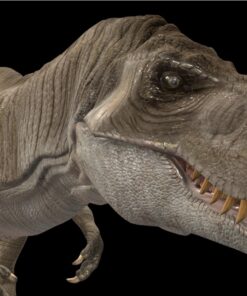 Dinosaur rex STL Free Download