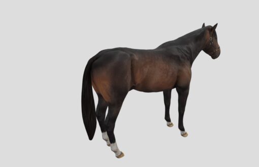 Horse FBX