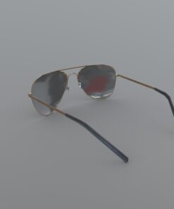 Sunglasses FBX