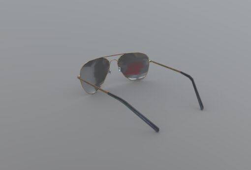 Sunglasses FBX